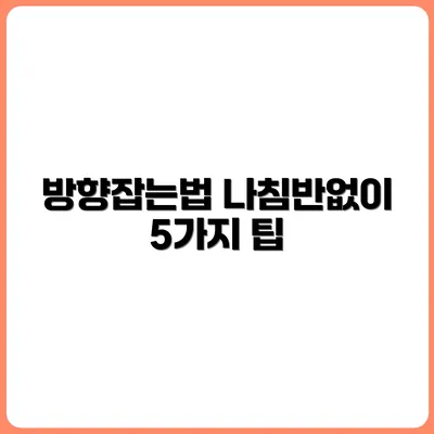 나침반 없이 방향 찾는 법 5가지