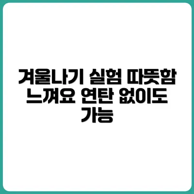 연탄 없이 따뜻하게 보내는 겨울나기 실험